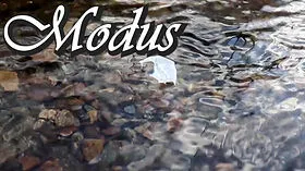 Danny Goldsmith – Modus