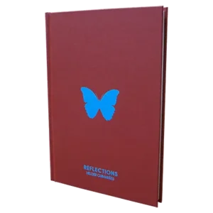 Helder Guimarães – Reflections ( Instant Download )