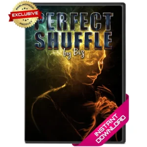 Perfect Shuffle by Biz