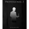 Professional 2 by Kim Hyun Soo ( Instant Download )