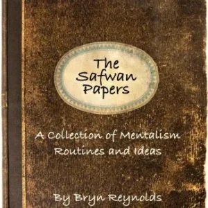 The Safwan Papers by Bryn Reynolds