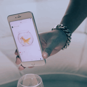 SansMinds – The Instagram Project ( Instant Download )