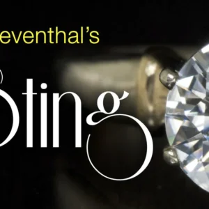 Lou Leventhal – The Sting ( Instant Download )