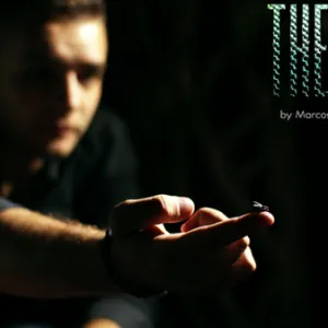 Marcos Waldemar – The FLY ( Instant Download )