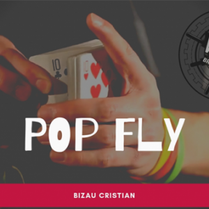 Bizau Cristian – The Vault – Pop Fly ( Instant Download )