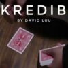 David Luu – INKredible (Instant Download)