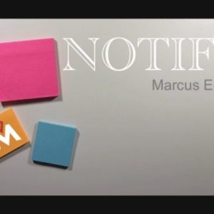 Marcus Eddie – NOTIFY