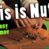 THIS IS NUTS by Anthony Asimov (Instant Download, video+pdf)