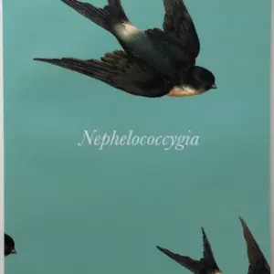 Helder Guimaraes - Nephelococcygia ( Instant Download )