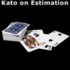 Kato on Estimation by Hideo Kato