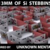 13mm Of Si Stebbins by Unknown Mentalist