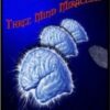 Three Mind Miracles by Devin Knight ebook DOWNLOAD