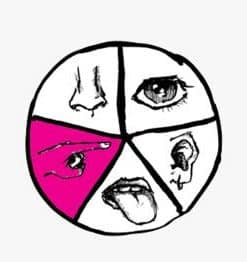 Tactilis by Ran Pink