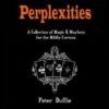 Perplexities by Peter Duffie