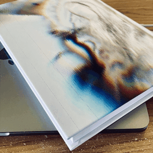 God Mode Sui Generis 2 by Fraser Parker ( Instant Download )