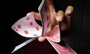 Pringull Bundle by Jedrick Prudente