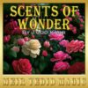 Todd Karr - Scents Of Wonder.