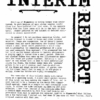 Interim Report by Karl Fulves.