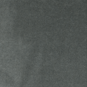 Brain Worms by Calen Morelli ( Instant Download )