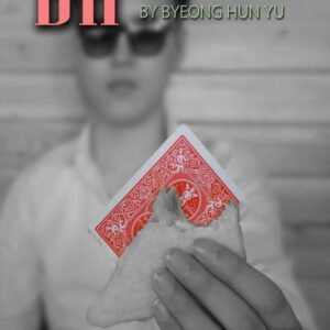 Yu Byeong Hun - BH Sandwich ( Instant Download )