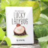 Lucky Ladybug by Joshua Ray & Deuce Gala Magic.