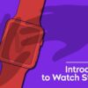 Introduction to Watch Stealing by Anthony Grupido ( Instant Download )