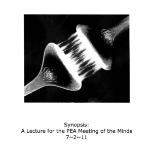 Synapses by Raj Madhok.