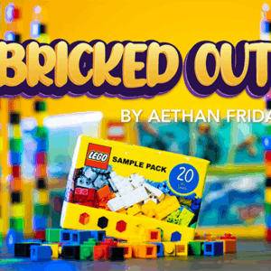 Bricked Out by Aethan Friday.