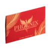 Phoenix by Hanson Chien ( Instant Download )