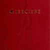 Gibecière by Stephen Minch - Vol 15 No 2 ( Summer 2020 , Instant Download )