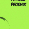 Phinally Phoenix Lecture Notes by Phil Goldstein ( Instant Download )