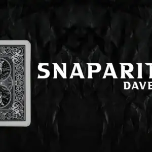 David Davis - Snaparition ( Instant Download )