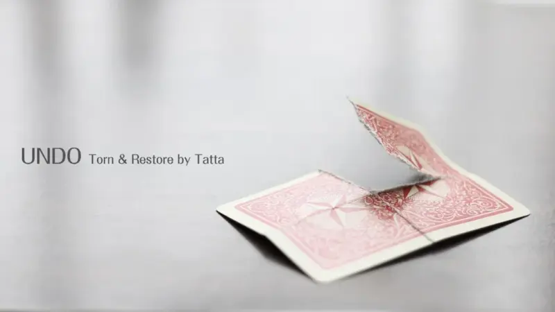 Undo by Tatta Latta ( Japanese , Instant Download )