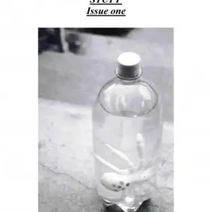 Other Stuff 1 by Dale A. Hildebrandt ( Instant Download )