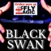 Black Swan by Magicat ( Instant Download )