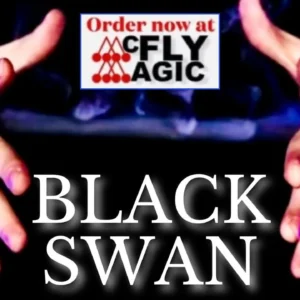 Black Swan by Magicat ( Instant Download )