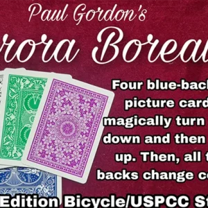 Aurora Borealis by Paul Gordon ( Instant Download )