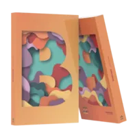 Barrage by John Bannon ( English , Instant Download )