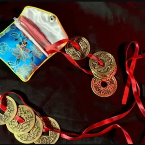 Vanshy - Feng Shui Routine ( Instant Download )