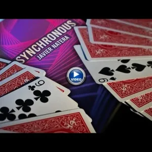 Javier Natera - Synchronous ( Instant Download )