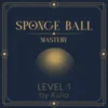 Sponge Ball Mastery Level 1 by Xulio Merino ( Instant Download )